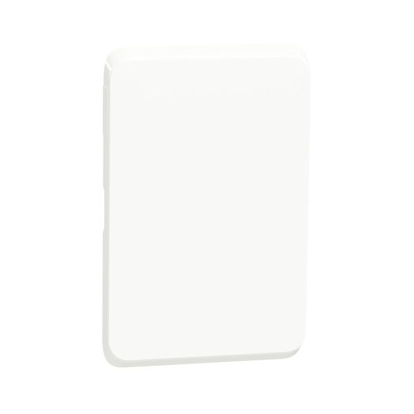 Schneider XW Blank plate, 2x4 Schneider Electric