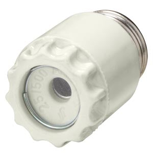 Siemens Diazed screw cap, ceramic, 500VAC/DC, 25A