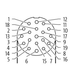 Murr M23 female 90° with cable, 19-pole, 10m