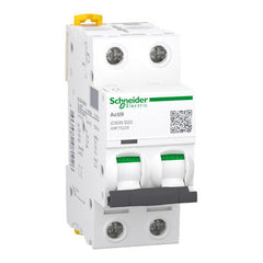 Schneider Miniature circuit-breaker, D-curve, 2-pole, 20A Schneider Electric