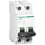 Schneider Mini circuit breaker, C, 2-pole, 500VDC, 63A Schneider Electric