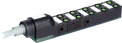 Murr M8 Distribution system, 3-pole, moulded cable, 10m