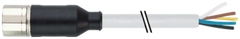 Murr M23 female 0° with cable, straight, 19-pole, 5m Murrelektronik