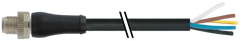 Murr M12 Power male 0°, L-code with cable, 5-pole, 10m