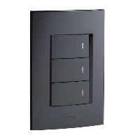 Schneider S3000 Switch, vetical, 2-lever, 2-way, 4x2 Schneider Electric