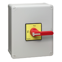 Schneider Enclosed e/switch disconnector, 100A Schneider Electric