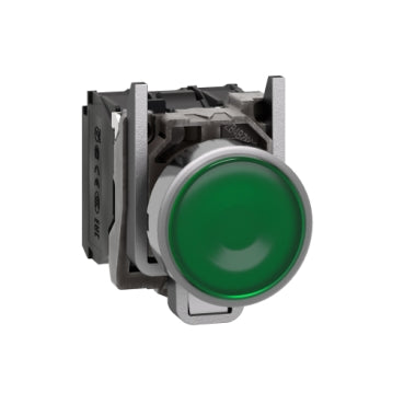 Schneider Illuminated pushbutton, green, 24V