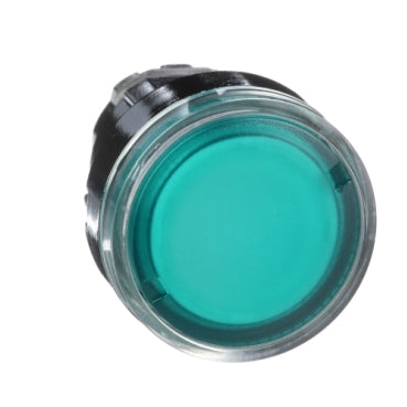 Schneider Illuminated pushbutton head, flush, green