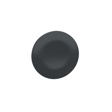Schneider Cap for pushbutton head, unmarked, black, Ø22 Schneider Electric