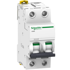 Schneider Miniature CB, ACTI9 IC60A 2P 20A C - Rubicon Partner Portal