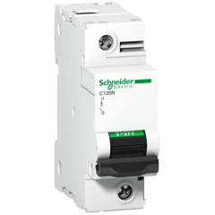 Schneider Acti9 Miniature CB, 1P, 100 A, D curve, 10 kA - Rubicon Partner Portal