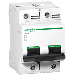 Schneider Acti9 Miniature CB, 2P, 100 A, D curve, 10 kA - Rubicon Partner Portal