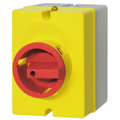Telergon Switch Enclosure Padlock handle 3P+N, IP66, 80A - Rubicon Partner Portal