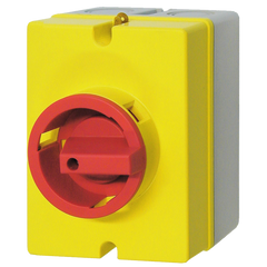 Telergon Switch Enclosure Padlock handle 3P+N, IP66, 125A - Rubicon Partner Portal